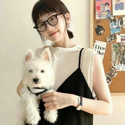 钢铁力士